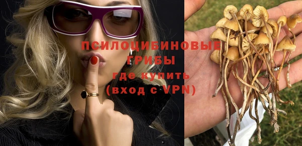 МДПВ Новодвинск