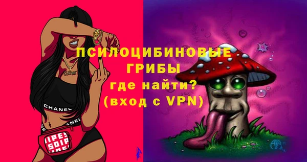 МДПВ Новодвинск