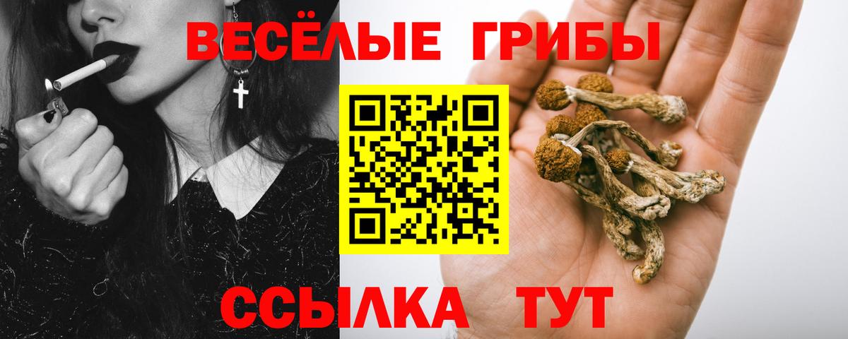 Галлюциногенные грибы MAGIC MUSHROOMS  закладки  Галлюциногенные грибы MAGIC MUSHROOMS  Новотроицк  Вход с VPN 